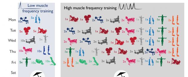 Можно ли тренировать мышцы каждый день. Короткие и редкие тренировки: почему они эффективны и кому подходят Оптимальная частота на сушке